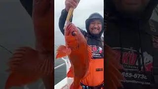 Rock Fishing with captain Steve on HookdUpSportFishing #rockfishing #sanfrancisco #ocean #outdoors