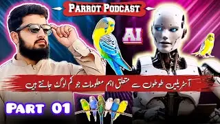 Kya AI Robot Toton Ko Humse Zyada Janta Hai? | Shocking Q&A | Ali Bird Shop