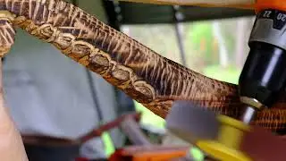 Chainsaw carving an octopus! #chainsawart #diy #chainsawman