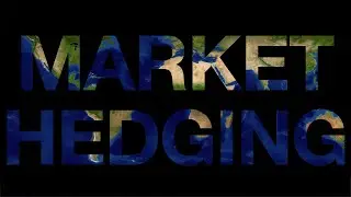 Market Hedging : The Ratio Put Spread