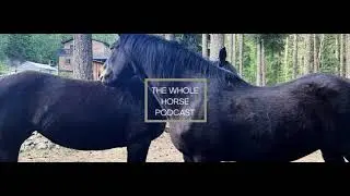 WH138 | Storytime with Alexa - finding our new home and farm