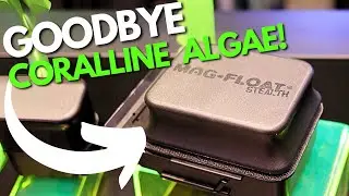 NEW Mag Float Stealth Changes The Aquarium Cleaning Game!