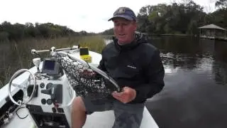 Rubber Net great for Speckled Trout  | Jacksonville Fishing Trips
