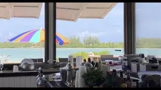 Fishbone Beach Bar And Grill in Eleuthera, Bahamas