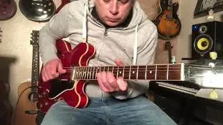 Англичанин в Нью-Йорке, играющий в режиме гитарного лупера