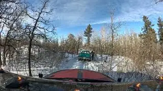 Winter Mega Run 2025 - 25