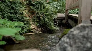 Ecotherapy is an important part of our physical, mental and spiritual health | SDPB News