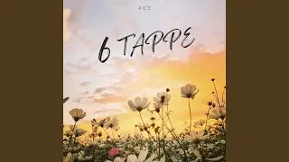 6 Tappe