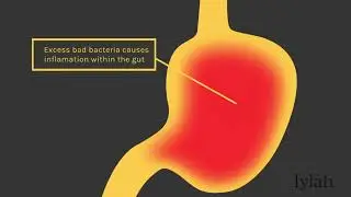 Lylah Health 30 Second Animation