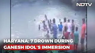 7 Drown In Haryana During Ganesh Idols' Immersion Ceremony