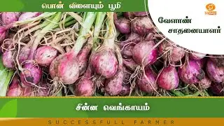 சின்ன வெங்காயம் சாகுபடி | Successful Farmer #farming #farm