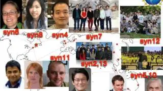 Building a Synthetic Eukaryotic Genome  Design, Construction and Application