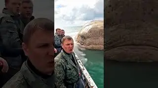 Голова огромной рептилии рядом с кораблем в океане