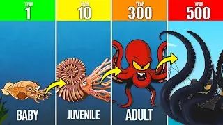 Kraken&rsquo;s Real Origin &ndash; From Ancient Ammonites to Sea Monster