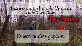 Bin am #verzweifeln! ABER aus #Fehlern lernt man! #waldleben🌳 #wald🙏 #handwerk 🙌#auswandern 👋