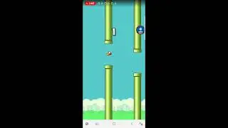 Flappy Bird Live🔴