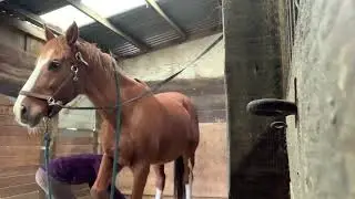 Get Ready to Ride with a Disabled Rider
