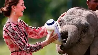 UK Royals Feed Orphaned Animals