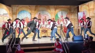 Teufelskerle 2017 komplett