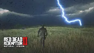 RDR 2 4K Natural Vision ReShade - RTX 3060  ( No Commentary )