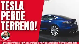 Tesla Sotto Pressione in Europa: Crollo Vendite e Marchi Tedeschi all&rsquo;Attacco!