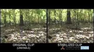 Video Stabilization