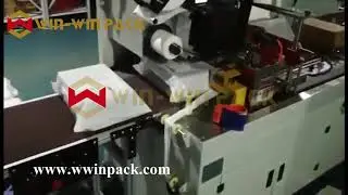 WIN-WIN PACK Automatic E-commerce Poly Bagger Packing Machine/Automated Packing & Ecommerce solution