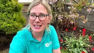 Tips for using digital outdoors