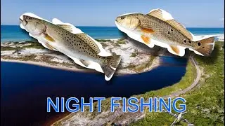NIGHT FISHING in camp creek lake Florida!