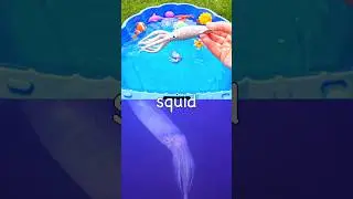 Kids Learn | Sea Animal Names with Toys: Squid Lionfish Great White Shark Octopus Manta Ray