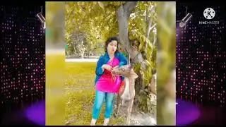 Akper deshi mera dil lagaya //#sbchallenge