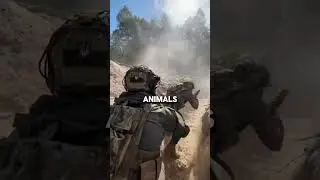 Us special forces, #usa  #specialforces #retired #podcast #navy #dutch #us