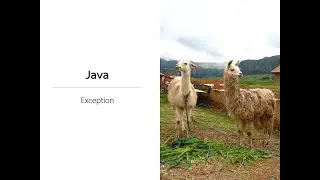 [Java Exception] 1. แนะนำ Java Exception