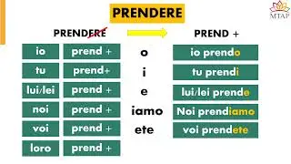 Italiano per stranieri - I verbo regolari (Lezione11)