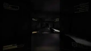 Monster Chase: POV! Hilarious Encounter!