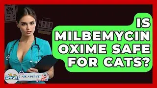 Is Milbemycin Oxime Safe For Cats? - Ask A Pet Vet