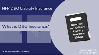 Not-for-Profit D&O Insurance: What is D&O Insurance?