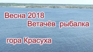 #25 Ветачёв  Весна  Рыбалка  Отдых