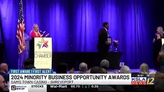 Distinguished individuals and businesses honored at 2024 Minority Business Opportunity Awards