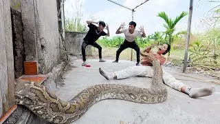 Terrifying Forest Encounter: Farmers Rescue Victims From Giant Python Near Abandoned House