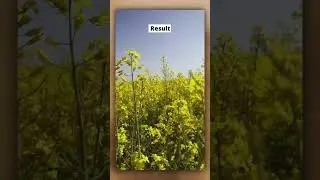 Ready to take incredible iPhone videos?🤩#iphonevideography #iphonephotographyschool #videography
