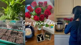 Cozy spring days | birthday vlog & planting 🪴 | Slow living diaries | Life in Norway