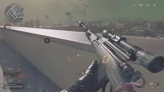 Warzone team wipe