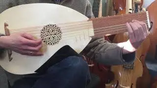 Stephen Haddock 8 Course Renaissance Lute after Hieber