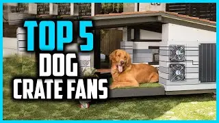 ✅Top 5 Best Dog Crate Fans for Warm Summer Days in 2024