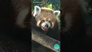 😉 und wer r&auml;umt hier endlich auf??? 😎