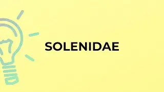 What is the meaning of the word SOLENIDAE?