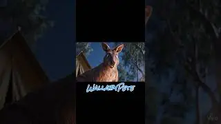 wallaby pete outback fire