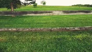 Mavic Mini American Flag Flight