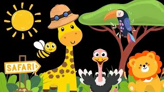 Baby Sensory Giraffe's  Safari Adventure with High Contrast and Visual Stimulation